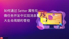 如何通过 setter 属性在微任务开发中实现消息最大生命周期的管控