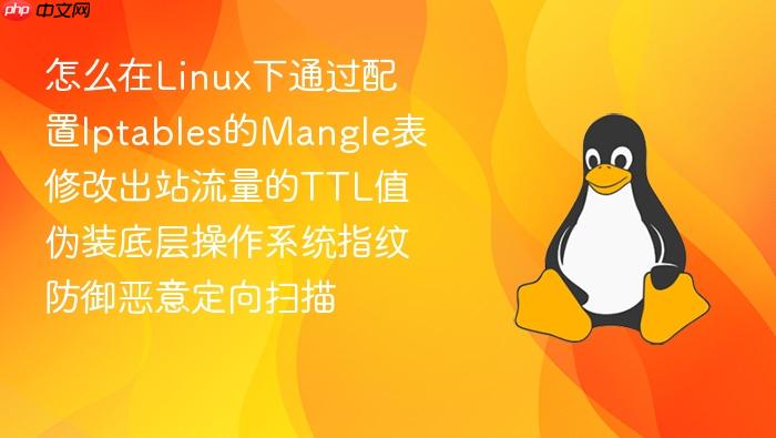 怎么在linux下通过配置iptables的mangle表修改出站流量的ttl值伪装底层操作系统指纹防御恶意定向扫描