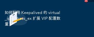 如何利用 keepalived 的 virtual_ipaddress_ex 扩展 vip 配置数量