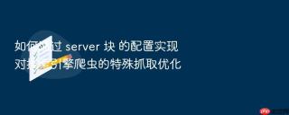 如何通过 server 块 的配置实现对搜索引擎爬虫的特殊抓取优化