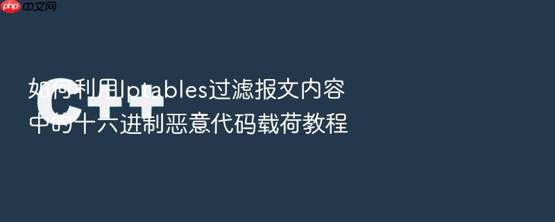 如何利用iptables过滤报文内容中的十六进制恶意代码载荷教程