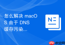 怎么解决 macOS 由于 DNS 缓存污染导致的远程磁盘连接响应缓慢问题