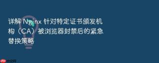 详解 nginx 针对特定证书颁发机构(ca)被浏览器封禁后的紧急替换策略