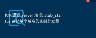 如何通过 server 块 的 stub_status 监控单个域名的实时并发量