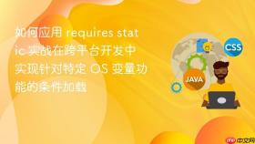 如何应用 requires static 实战在跨平台开发中实现针对特定 os 变量功能的条件加载