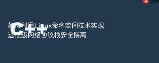 如何利用linux命名空间技术实现进程级网络协议栈安全隔离
