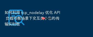 如何利用 tcp_nodelay 优化 api 负载均衡场景下交互类小包的传输实时性