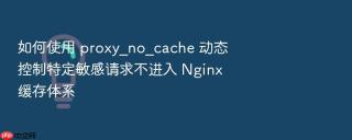 如何使用 proxy_no_cache 动态控制特定敏感请求不进入 nginx 缓存体系