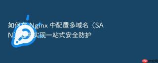 如何在 nginx 中配置多域名（san）证书实现一站式安全防护