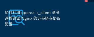 如何利用 openssl s_client 命令远程调试 nginx 的证书链与协议配置
