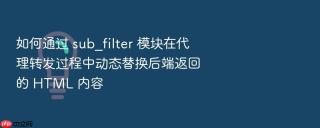 如何通过 sub_filter 模块在代理转发过程中动态替换后端返回的 html 内容