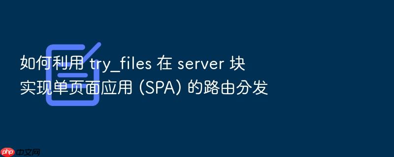 如何利用 try_files 在 server 块实现单页面应用 (spa) 的路由分发