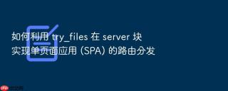 如何利用 try_files 在 server 块实现单页面应用 (spa) 的路由分发