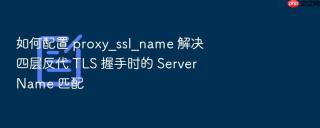 如何配置 proxy_ssl_name 解决四层反代 tls 握手时的 server name 匹配