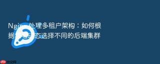 nginx 处理多租户架构:如何根据域名动态选择不同的后端集群