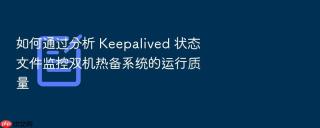如何通过分析 keepalived 状态文件监控双机热备系统的运行质量