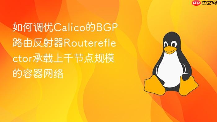 如何调优calico的bgp路由反射器routereflector承载上千节点规模的容器网络