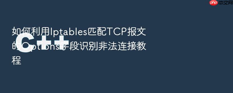 如何利用iptables匹配tcp报文的options字段识别非法连接教程