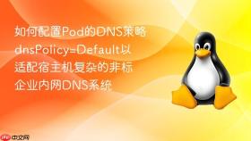 如何配置pod的dns策略dnspolicy=default以适配宿主机复杂的非标企业内网dns系统