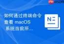 如何通过终端命令查看 macOS 系统当前所有已加载的底层块设备驱动
