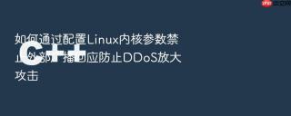 如何通过配置Linux内核参数禁止外部广播回应防止DDoS放大攻击
