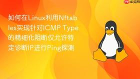如何在linux利用nftables实现针对icmp type的精细化阻断仅允许特定诊断ip进行ping探测