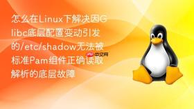 怎么在linux下解决因glibc底层配置变动引发的/etc/shadow无法被标准pam组件正确读取解析的底层故障