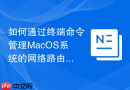 如何通过终端命令管理MacOS系统的网络路由表与网关