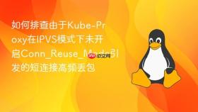 如何排查由于kube-proxy在ipvs模式下未开启conn_reuse_mode引发的短连接高频丢包