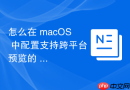 怎么在 macOS 中配置支持跨平台预览的 React 本地开发磁盘挂载流
