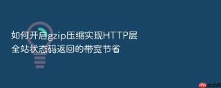 如何开启gzip压缩实现http层全站状态码返回的带宽节省