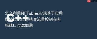 怎么利用nftables实现基于应用层协议指纹的精准流量控制与非标端口过滤加固