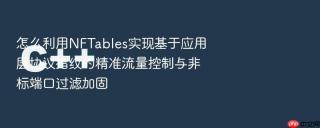 怎么利用NFTables实现基于应用层协议指纹的精准流量控制与非标端口过滤加固