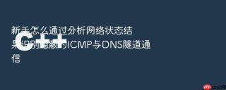 新手怎么通过分析网络状态结果识别隐蔽的ICMP与DNS隧道通信