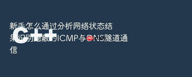新手怎么通过分析网络状态结果识别隐蔽的icmp与dns隧道通信