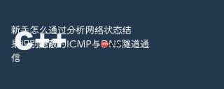 新手怎么通过分析网络状态结果识别隐蔽的icmp与dns隧道通信