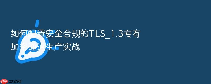 如何配置安全合规的tls_1.3专有加密通道生产实战