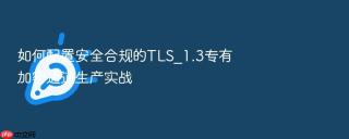 如何配置安全合规的tls_1.3专有加密通道生产实战