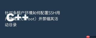 针对多租户环境如何配置ssh用户隔离（chroot）并禁锢其活动目录