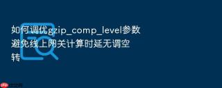 如何调优gzip_comp_level参数避免线上网关计算时延无谓空转