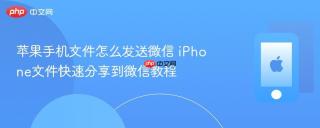 苹果手机文件怎么发送微信 iPhone文件快速分享到微信教程