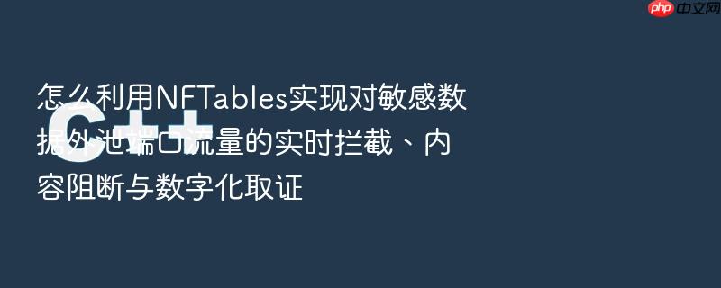 怎么利用nftables实现对敏感数据外泄端口流量的实时拦截、内容阻断与数字化取证