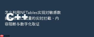 怎么利用NFTables实现对敏感数据外泄端口流量的实时拦截、内容阻断与数字化取证