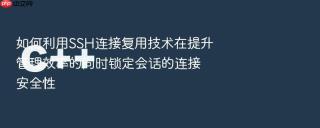 如何利用ssh连接复用技术在提升管理效率的同时锁定会话的连接安全性