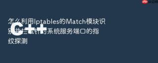 怎么利用Iptables的Match模块识别并拦截针对系统服务端口的指纹探测