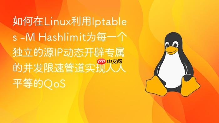 如何在linux利用iptables -m hashlimit为每一个独立的源ip动态开辟专属的并发限速管道实现人人平等的qos