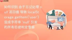 如何识别 由于忘记处理 null 返回值 导致 localstorage.getitem(\'user\') 变成字符串 \'null\' 引发的所有后续判定雪崩