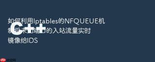 如何利用iptables的nfqueue机制将未知端口的入站流量实时镜像给ids