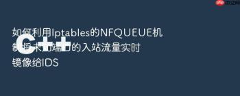 如何利用Iptables的NFQUEUE机制将未知端口的入站流量实时镜像给IDS