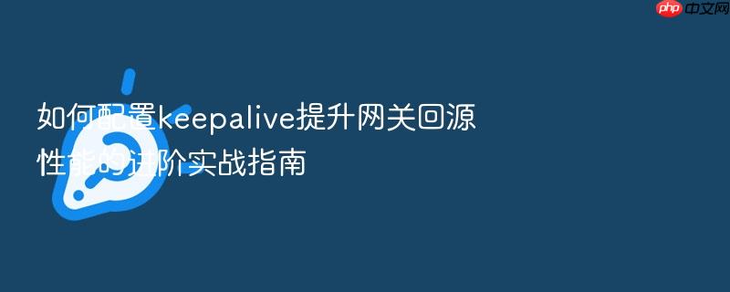 如何配置keepalive提升网关回源性能的进阶实战指南